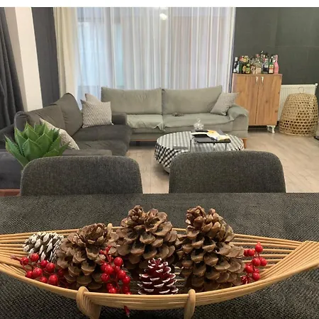 Fenix 84 Homestay